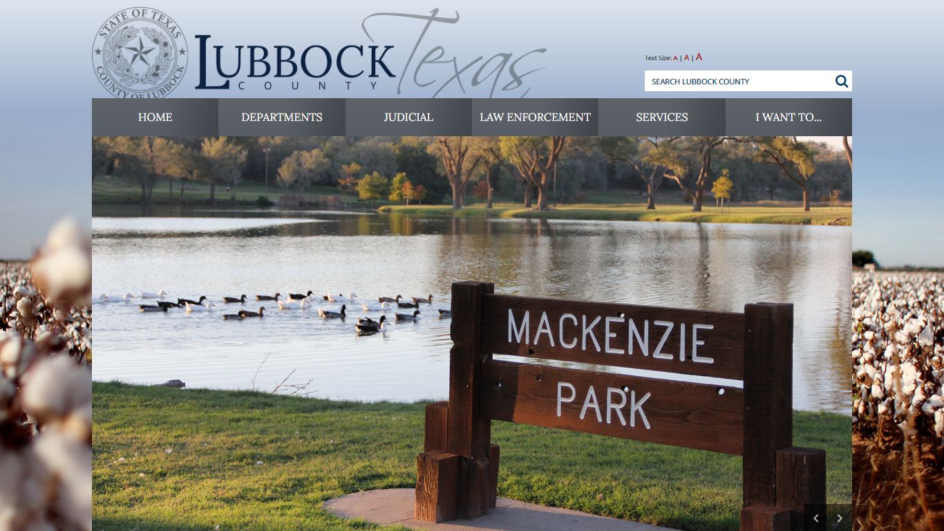 Services Index / Online Access to Court Records / Lubbock ...